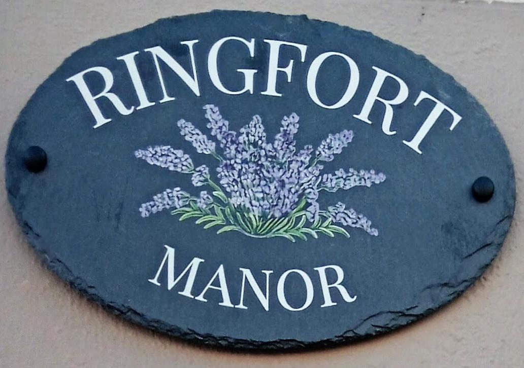 Ringfort Manor Rathfriland Extérieur photo